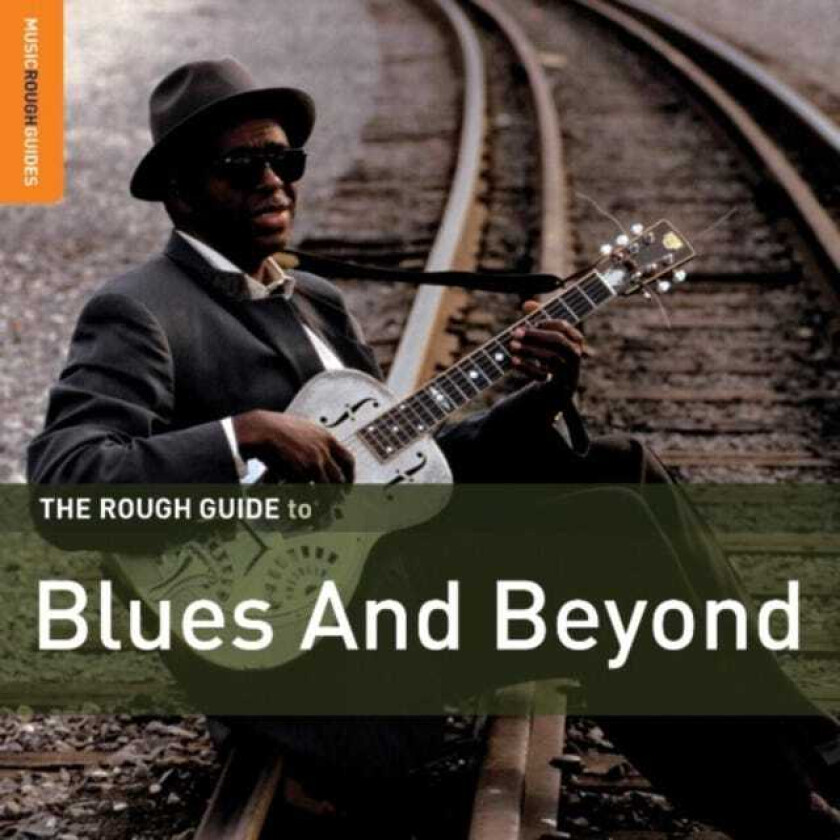 Diverse Blues The Rough Guide To Blues And Beyond CD