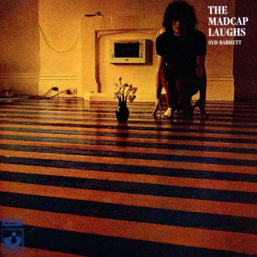 Syd Barrett The Madcap Laughs CD