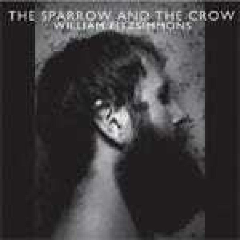 William Fitzsimmons The Sparrow And The Crow CD