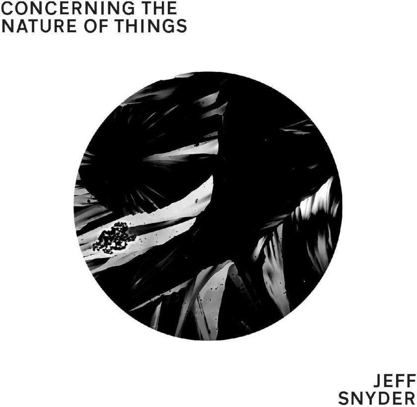 Jeff Snyder Concerning The Nature Of Things CD