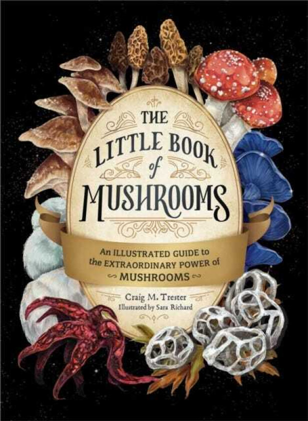 The Little Book of Mushrooms An Illustrated Guide to the Extraordinary Power of Mushrooms