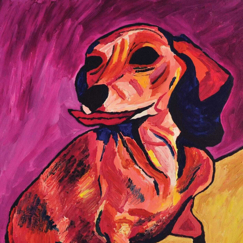 Ty Segall Fanny LP/Vinyl