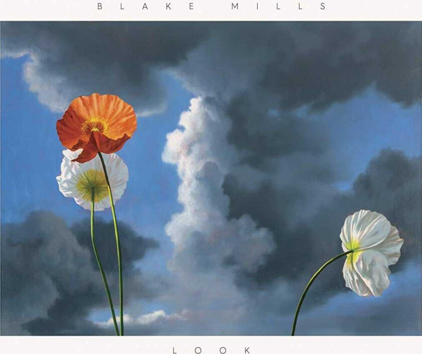 Blake Mills Look LP/Vinyl