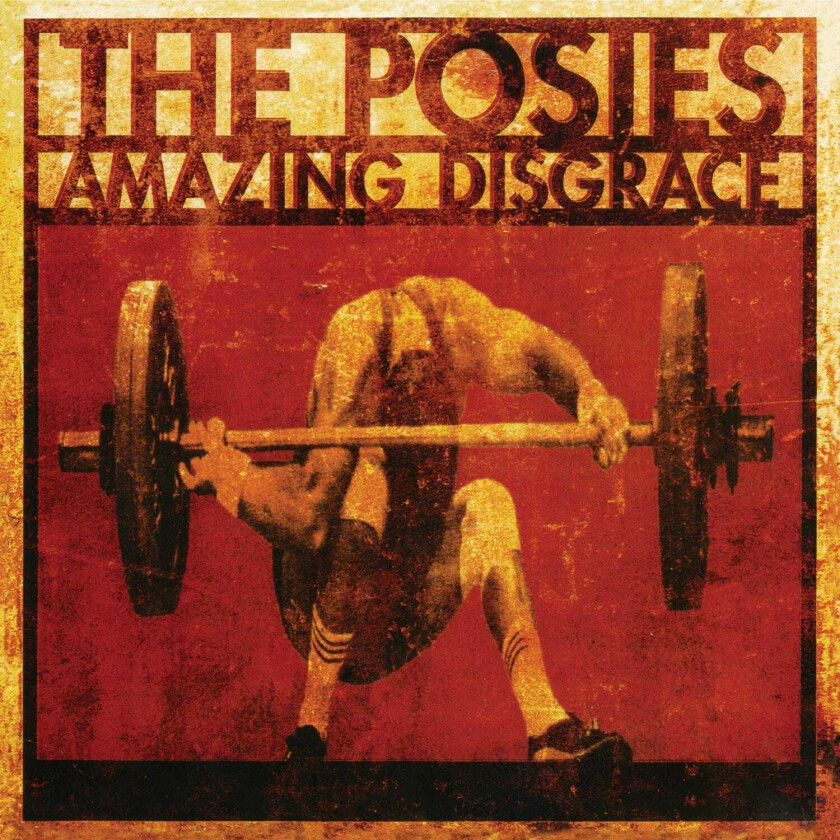 The Posies Amazing Disgrace LP/Vinyl