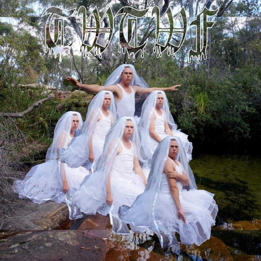 Liars Titles With The World Fountain LP/Vinyl