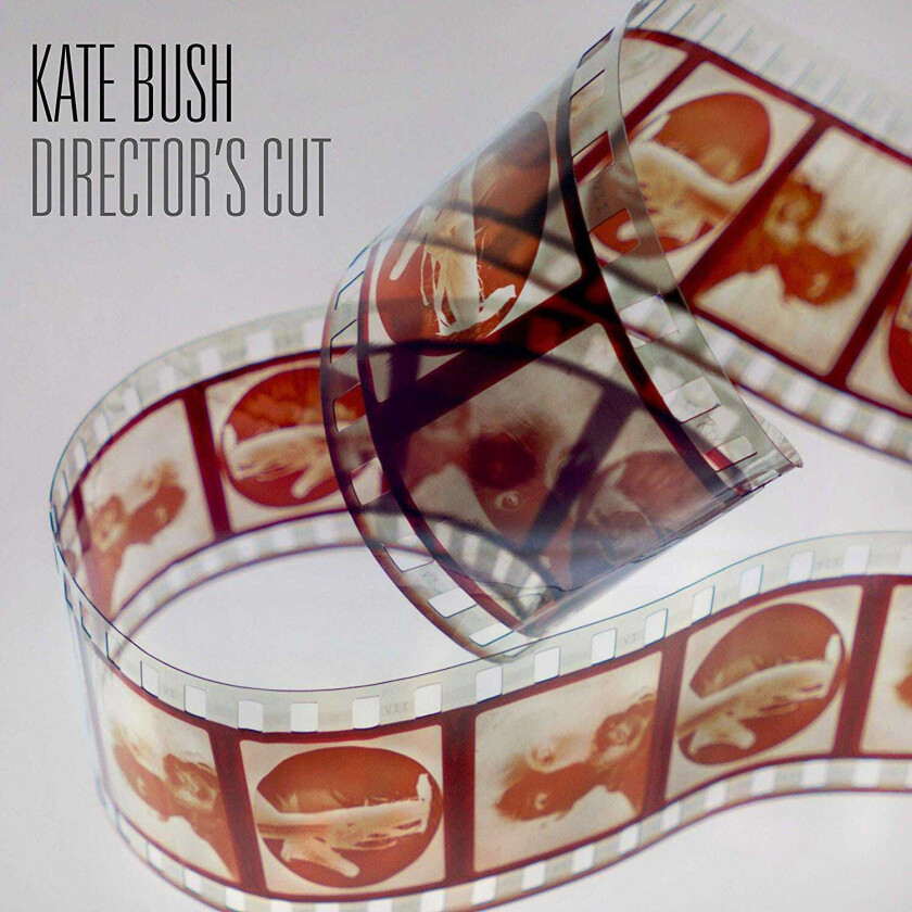 Kate Bush Director's Cut LP/Vinyl