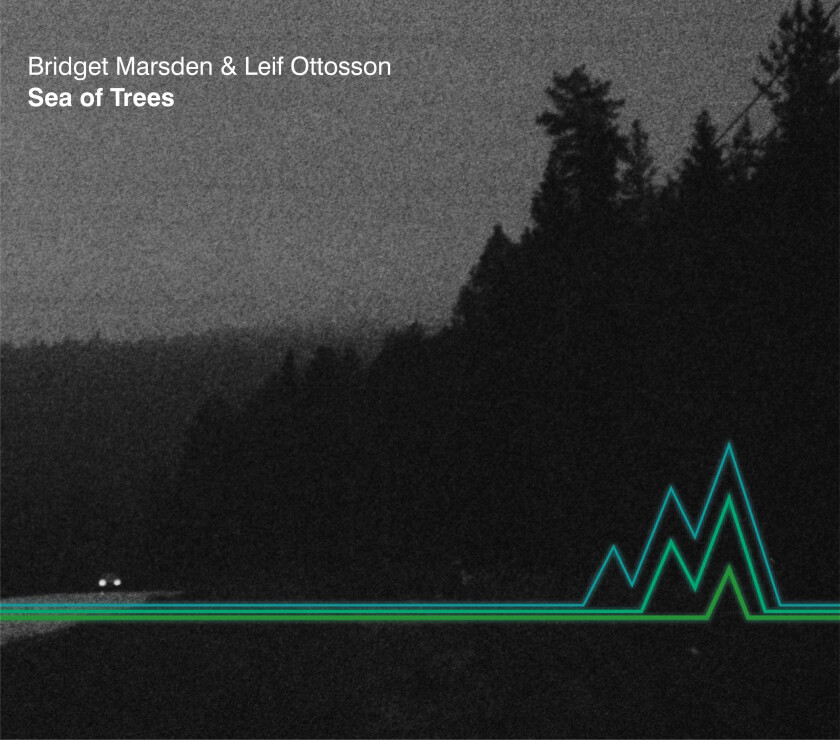 Bridget Madsen & Leif Ottosson Sea Of Trees CD