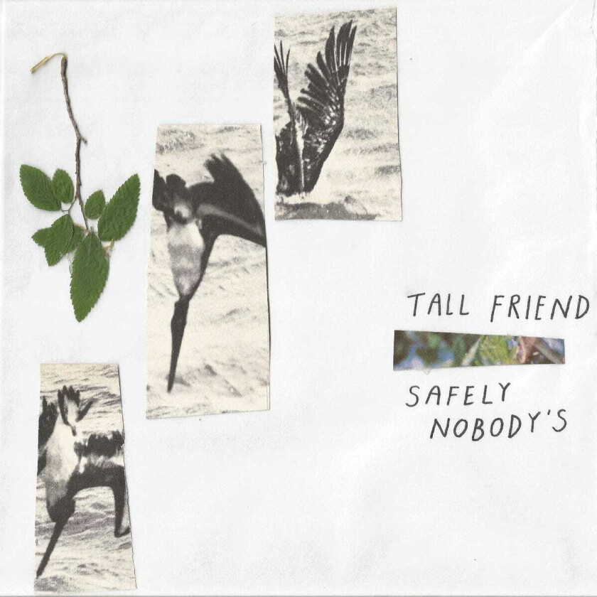 Tall Friend Safely Nobody's LP/Vinyl