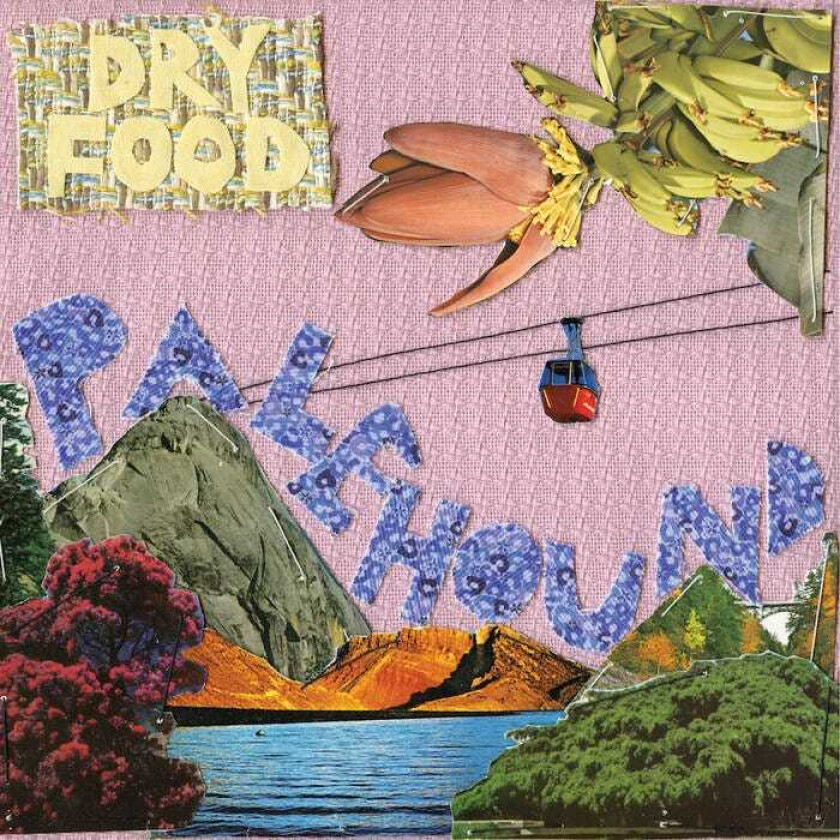 Palehound Dry Food LP/Vinyl