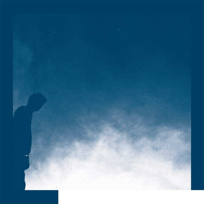 David Allred The Transition LP/Vinyl