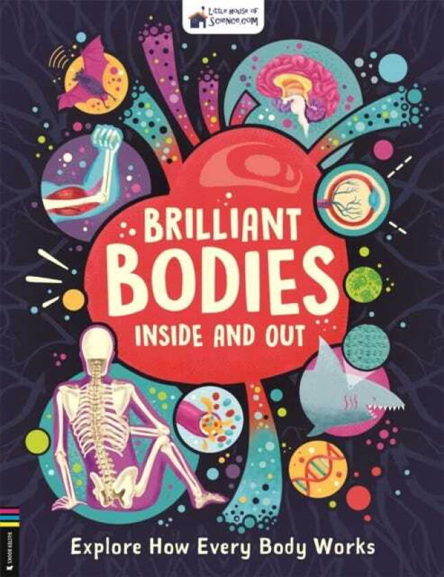 Brilliant Bodies Inside and Out  Explore How Every Body Works