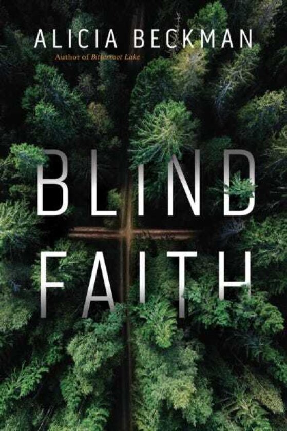 Blind Faith A Novel