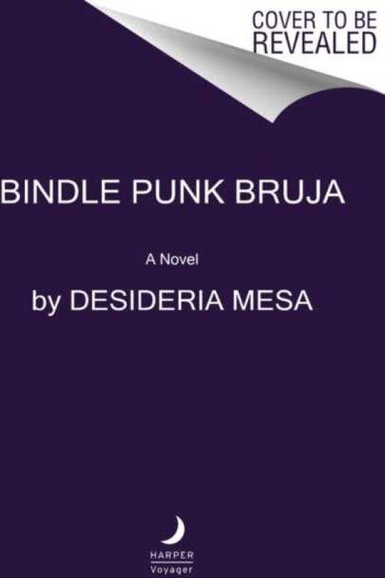Bindle Punk Bruja A Novel