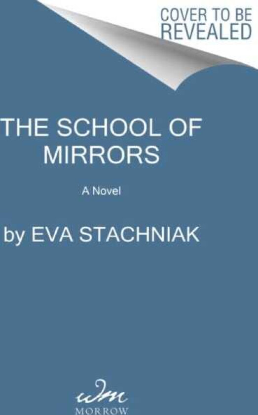 The School of Mirrors A Novel