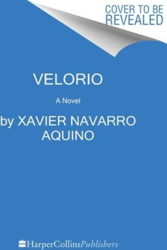 Velorio A Novel