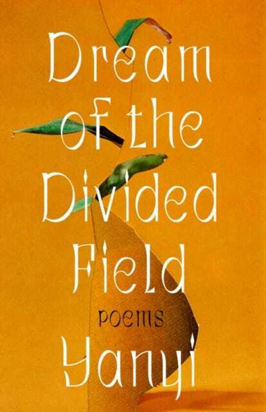 Dream of the Divided Field  Poems