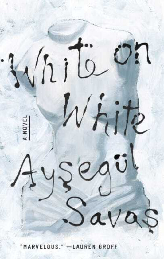 White on White  A Novel