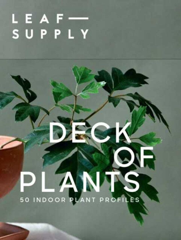 Leaf Supply Deck of Plants  50 Indoor Plant Profiles