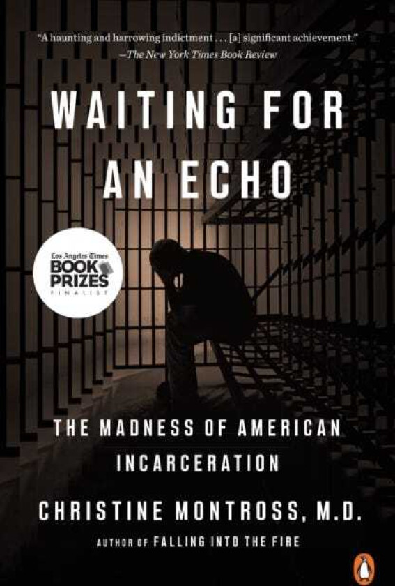 Waiting for an Echo The Madness of American Incarceration