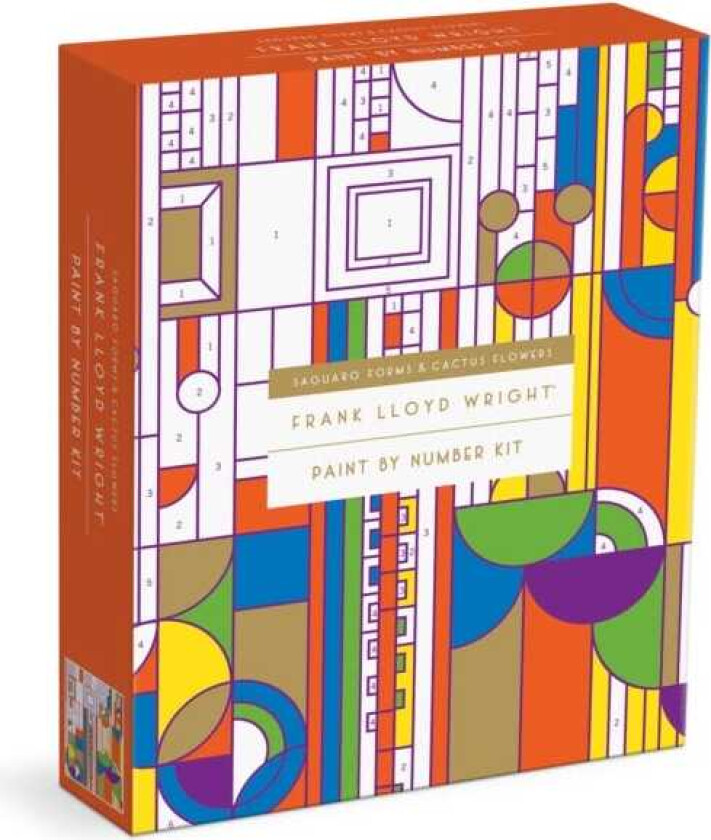 Frank Lloyd Wright Saguaro Cactus and Forms Paint By Number Kit