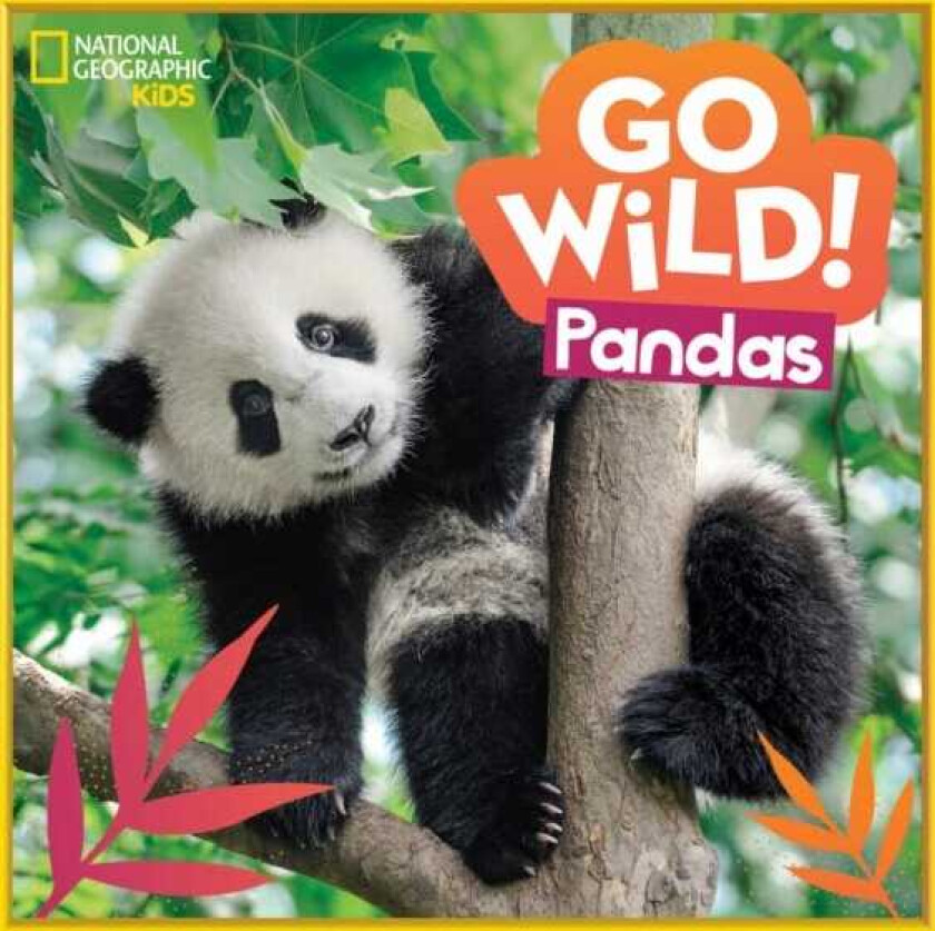 Go Wild! Pandas