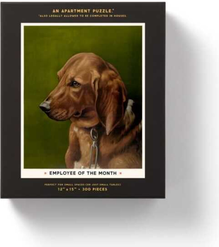 Employee Of The Month 300 Piece Apartment Puzzle