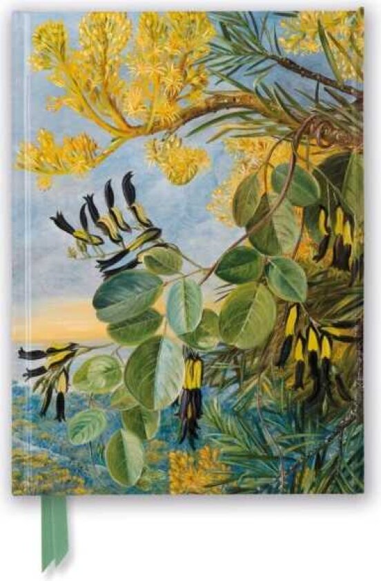 Kew: Marianne North: Flowers of the FlameTree and Yellow and Black Twiner, West Australia (Foiled J