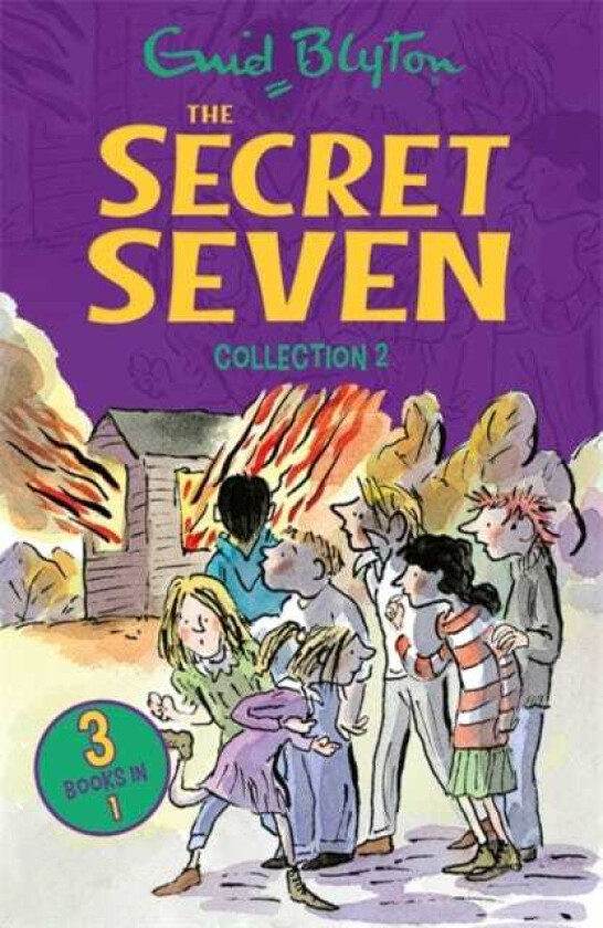The Secret Seven Collection 2 Books 46
