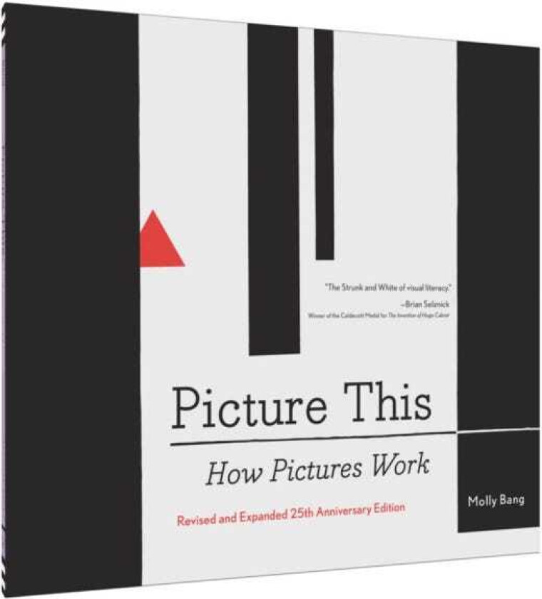 Picture This: How Pictures Work
