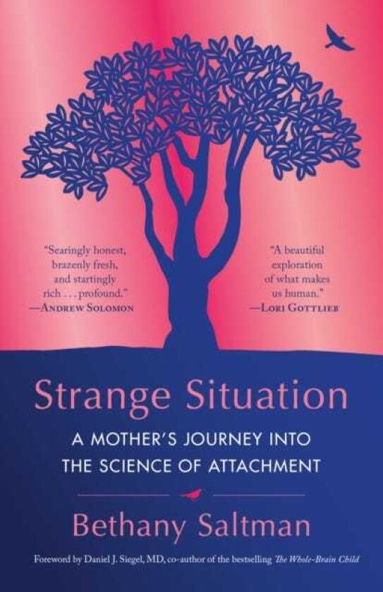 Strange Situation A Mother's Journey into the Science of Attachment