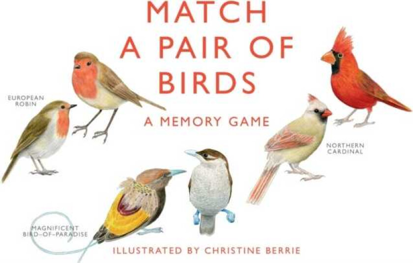Match a Pair of Birds