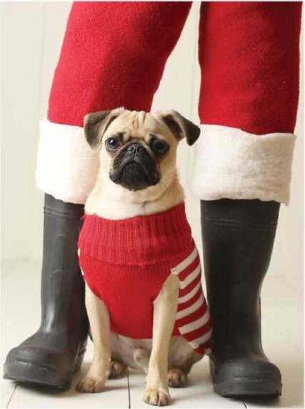 Pug Elf Notecards av Galison (Cards)