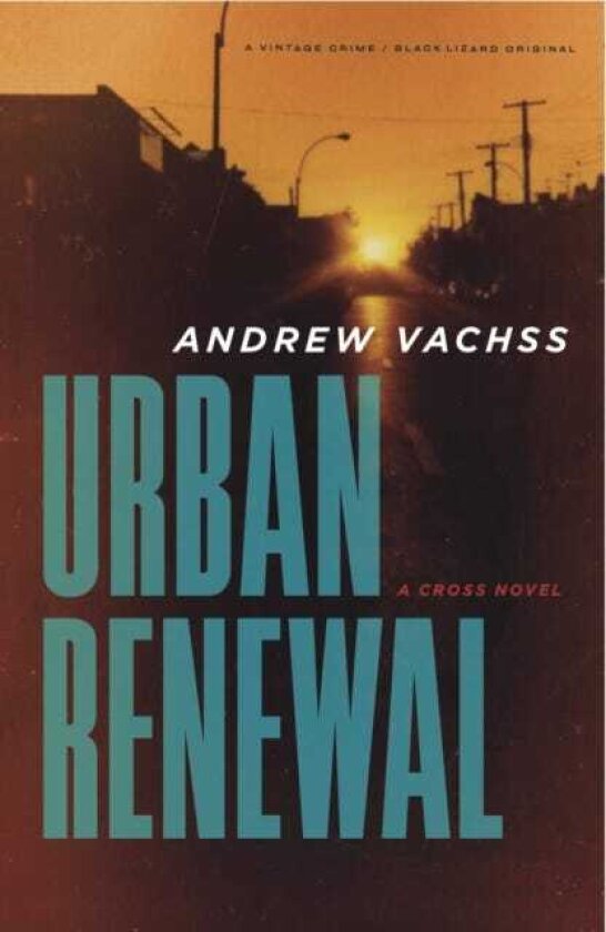 Urban Renewal A Cross Novel