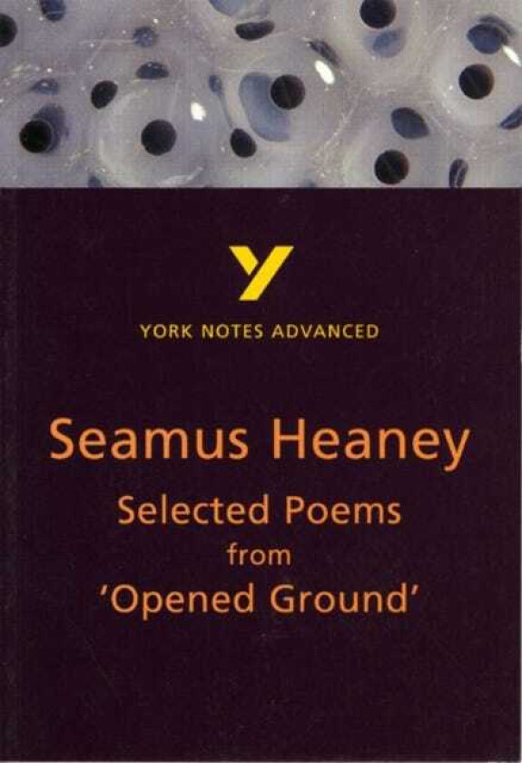 Selected Poems from Opened Ground: York Notes Advanced  everything you need to study and prepare for the 2025 and 2026 exams