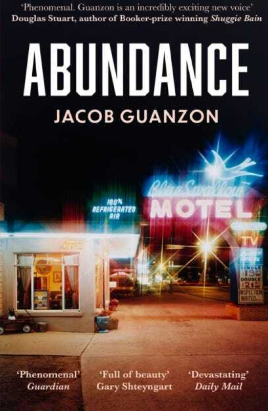 Abundance Unputdownable and heartbreaking comingofage fiction about fathers and sons