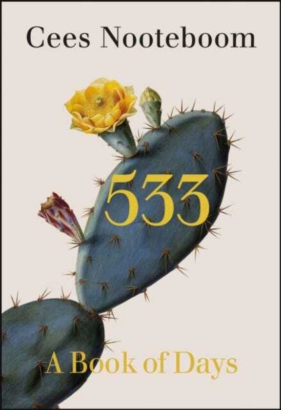 533 A Book of Days