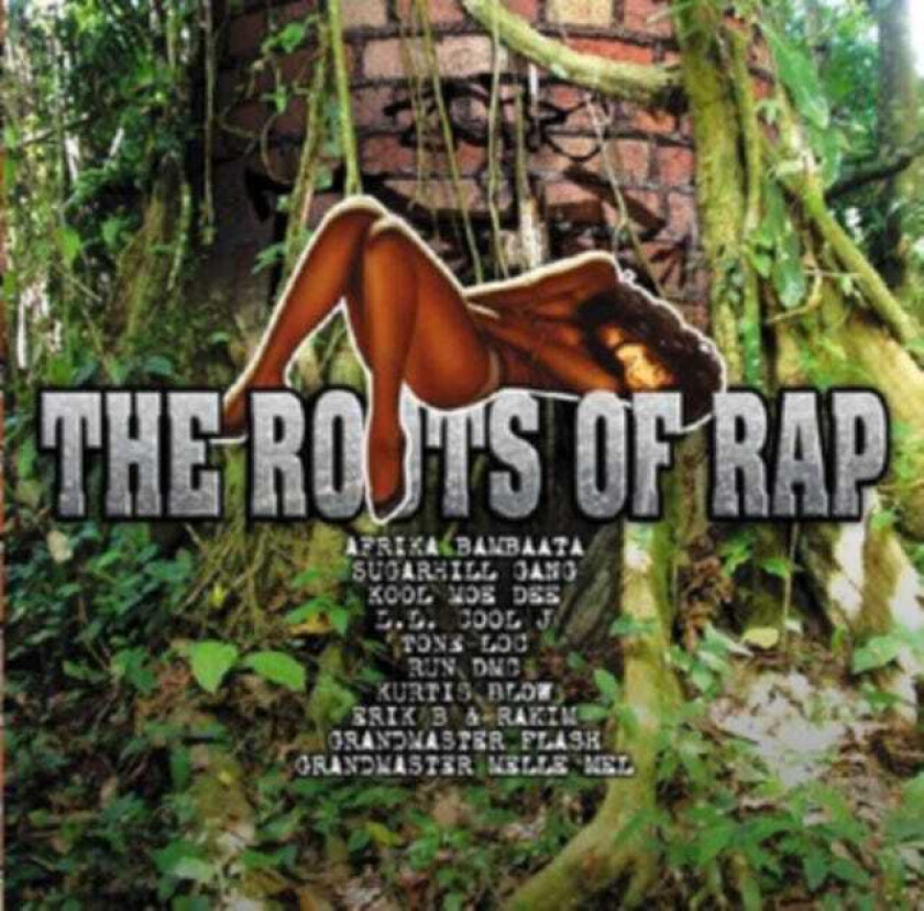 Diverse Hip Hop The Roots Of Rap CD