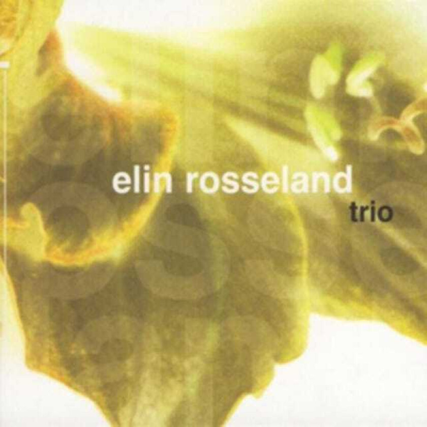 Elin Rosseland  Trio  CD