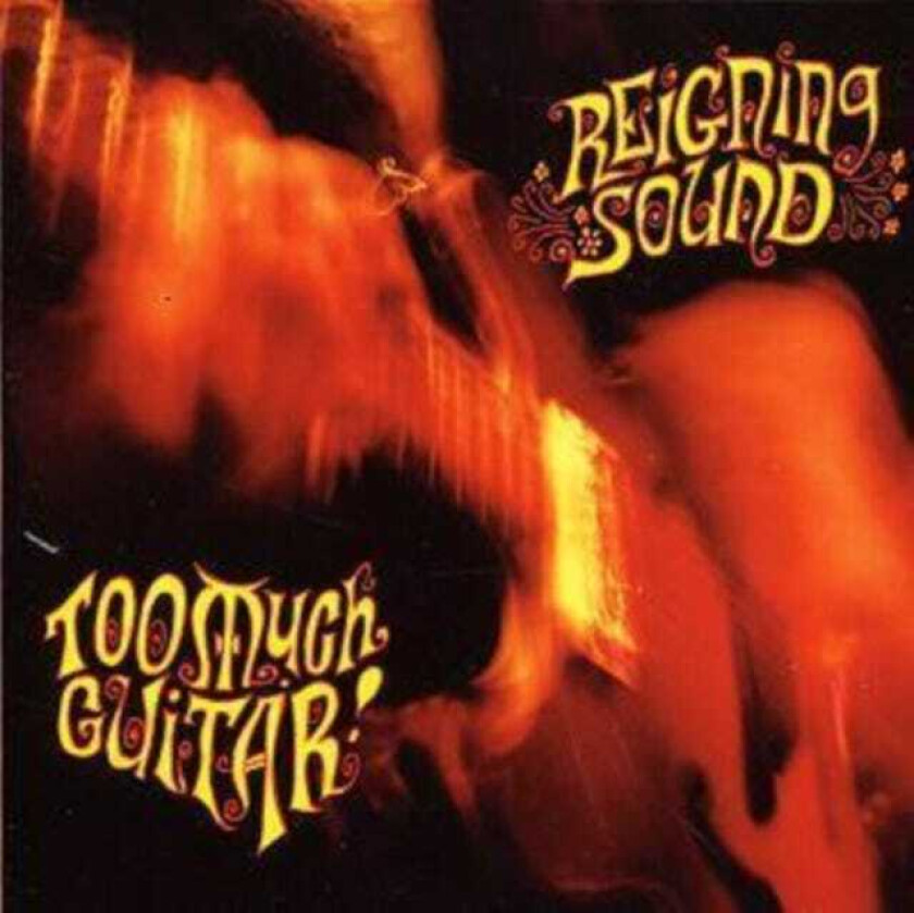 Reigning Sound Too Much Guitar CD