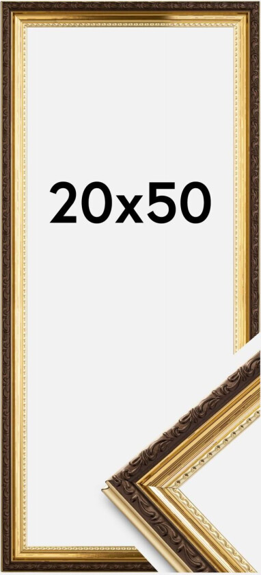 Ramme Abisko Akrylglass Gull 20x50 Cm