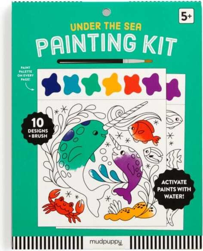 Under the Sea Painting Kit