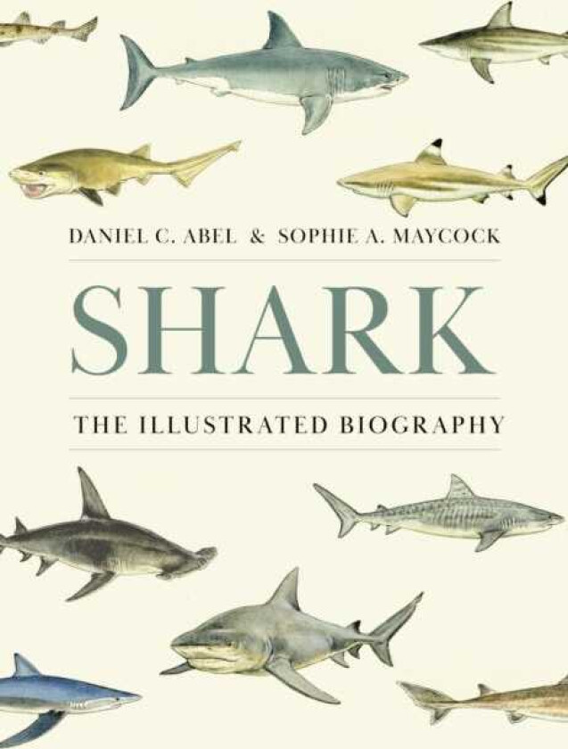 Shark  The Illustrated Biography