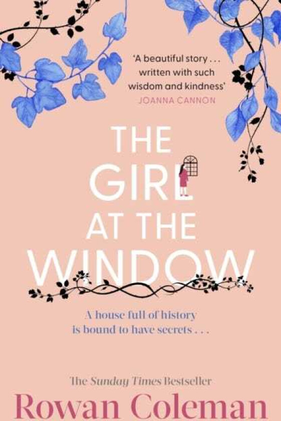 The Girl at the Window