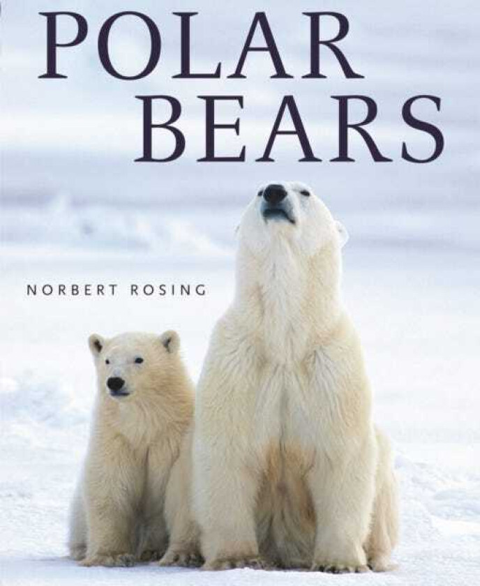 Polar Bears