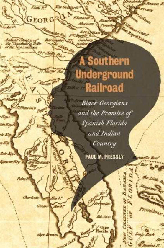 A Southern Underground Railroad Black Georgians and the Promise of Spanish Florida and Indian Country