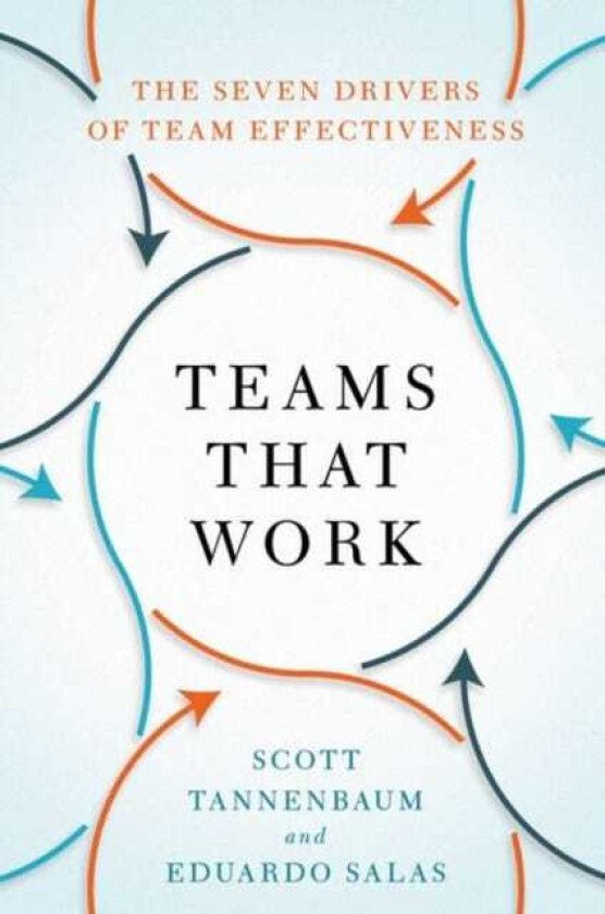 Teams That Work The Seven Drivers of Team Effectiveness