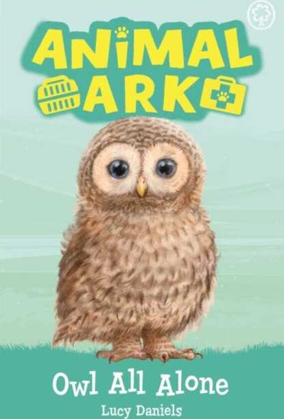 Animal Ark, New 12: Owl All Alone Book 12