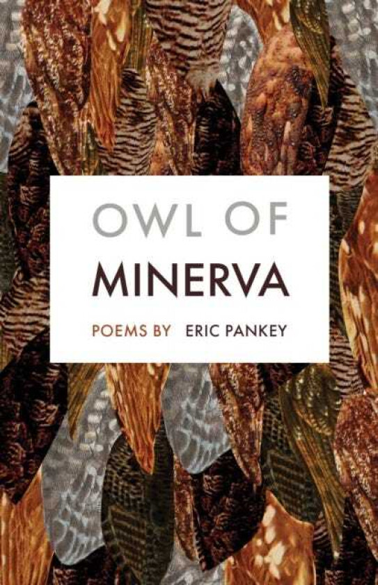 Owl of Minerva Poems
