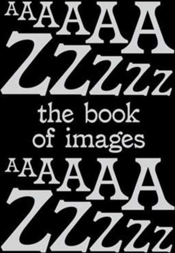 The Book of Images An illustrated dictionary of visual experiences From A to Z