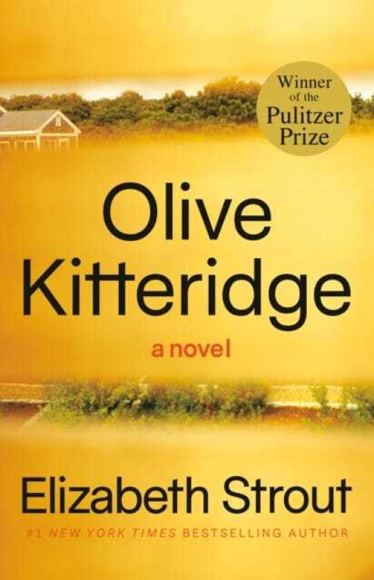 Olive Kitteridge Fiction